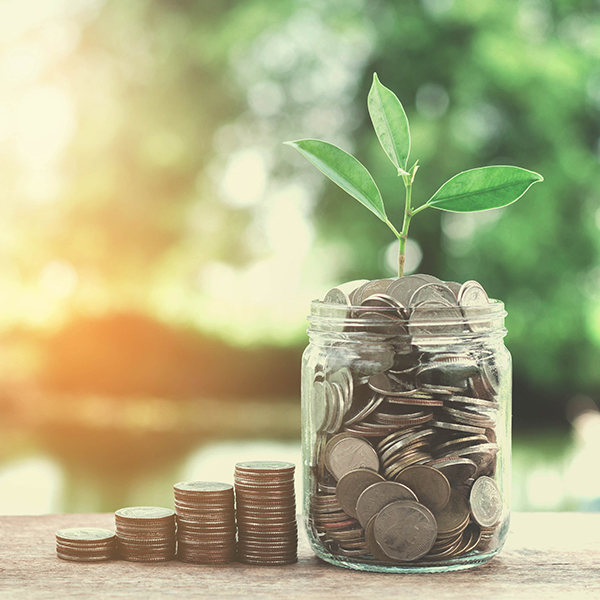 stacks of coins and jar filled with coins with plant growing out of it