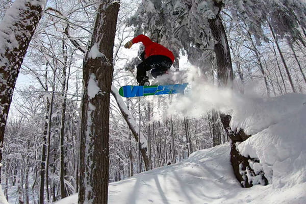 Snowboarder jumping in between trees