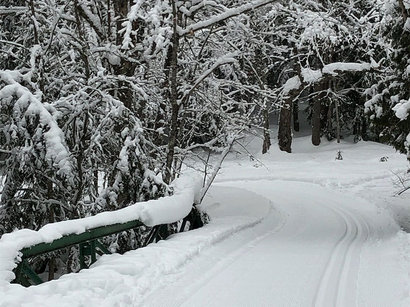 Freshly groomed cross-country, snowshoe and bike trail