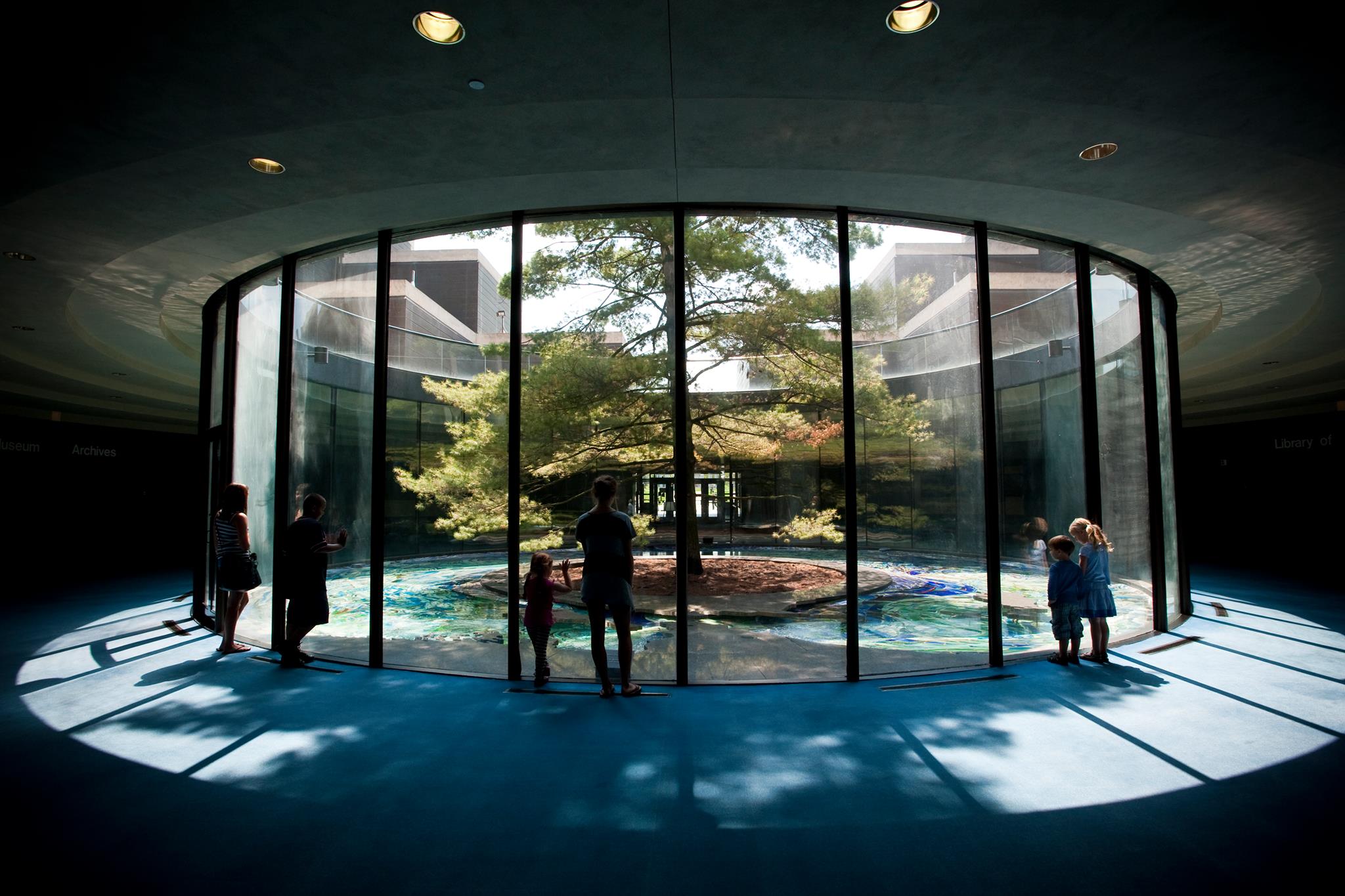 Photo of people looking at Carl the tree at the Michigan History Museum.