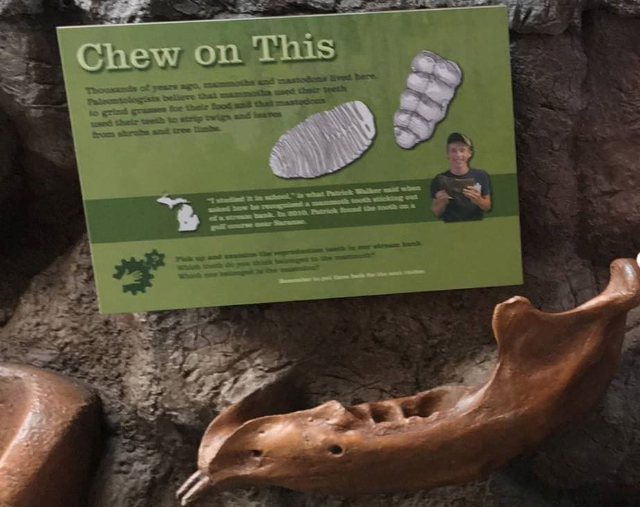 Photo of Mastadon bones at the Michigan History Center.