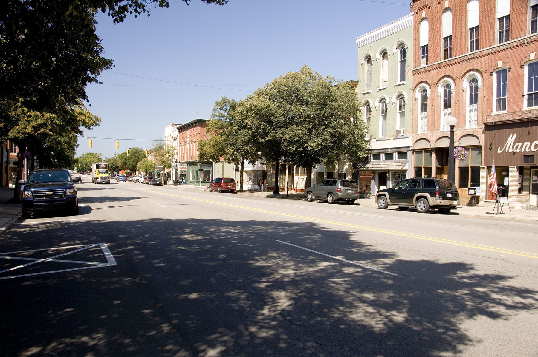 Photo of a town in Michigan. Buildings, trees and a street is pictured.