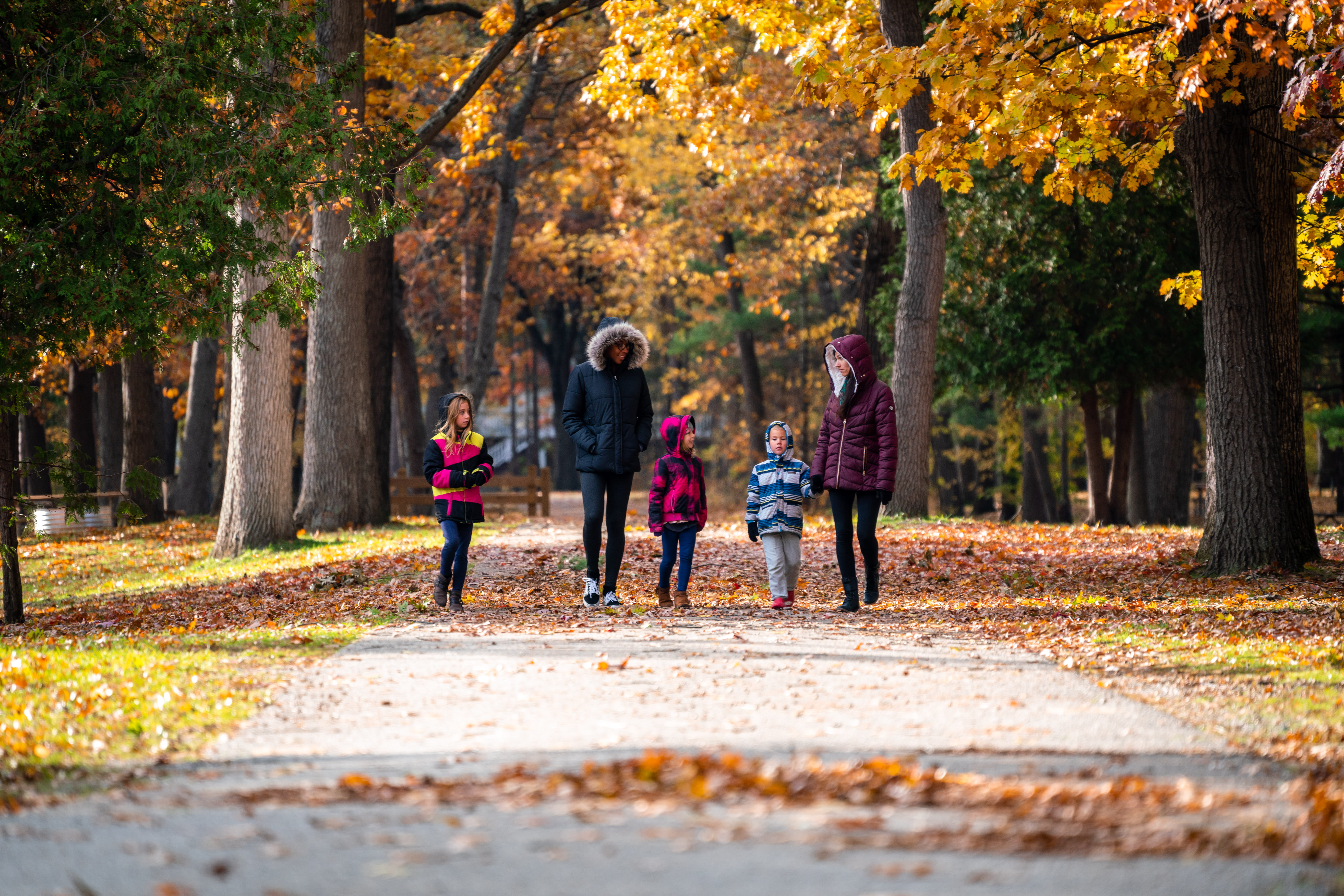 Photo of a family walking on a path in a Michigan State Park. Fall leaves are on the ground and trees are yellow and shades of orange. Photo by Tyler Leipprandt, provided by the DNR.