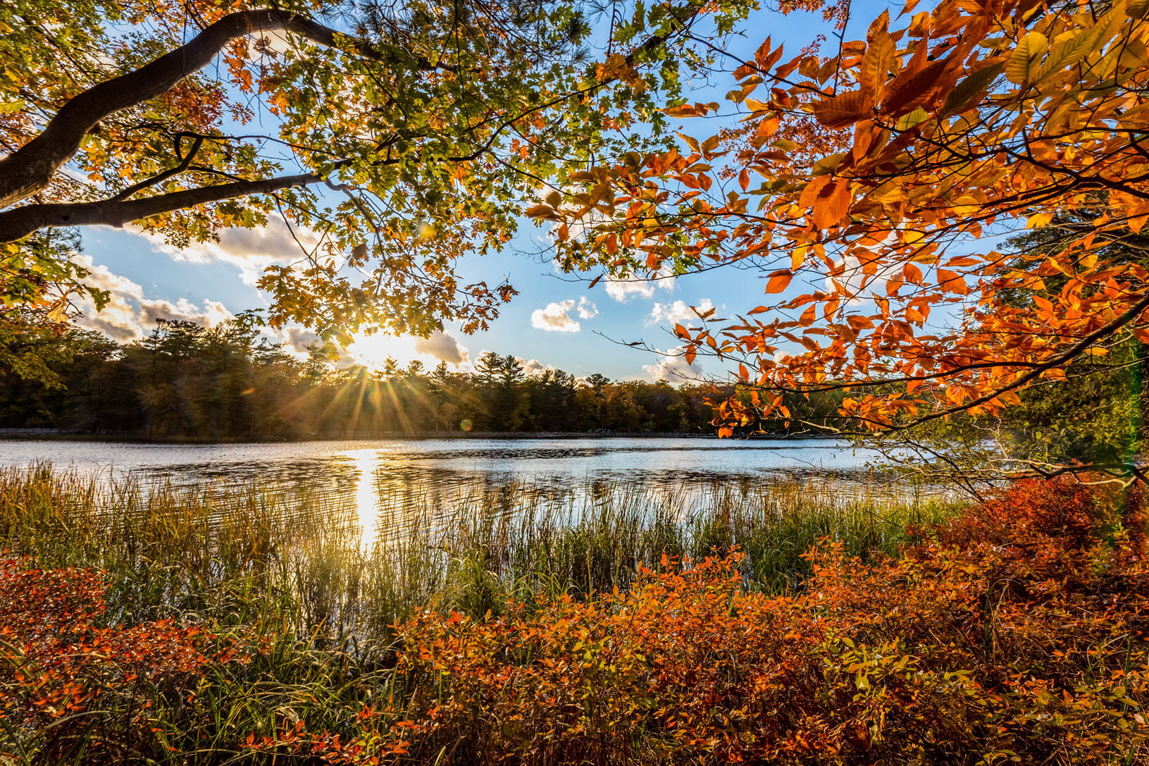Image of the sun rising over Ludington State Park, features a lake and trees changing colors in the fall. Photo taken by Aubry Healy, provided by the DNR.