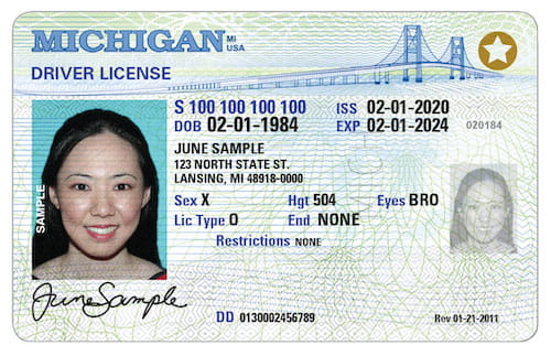 Non-Binary Michigan Driver's License