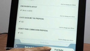 Liberty Vote ICX review choices 