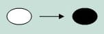 Mark an oval on a ballot