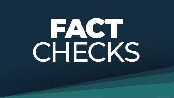 The words "FACT CHECKS" on a dark blue and green background