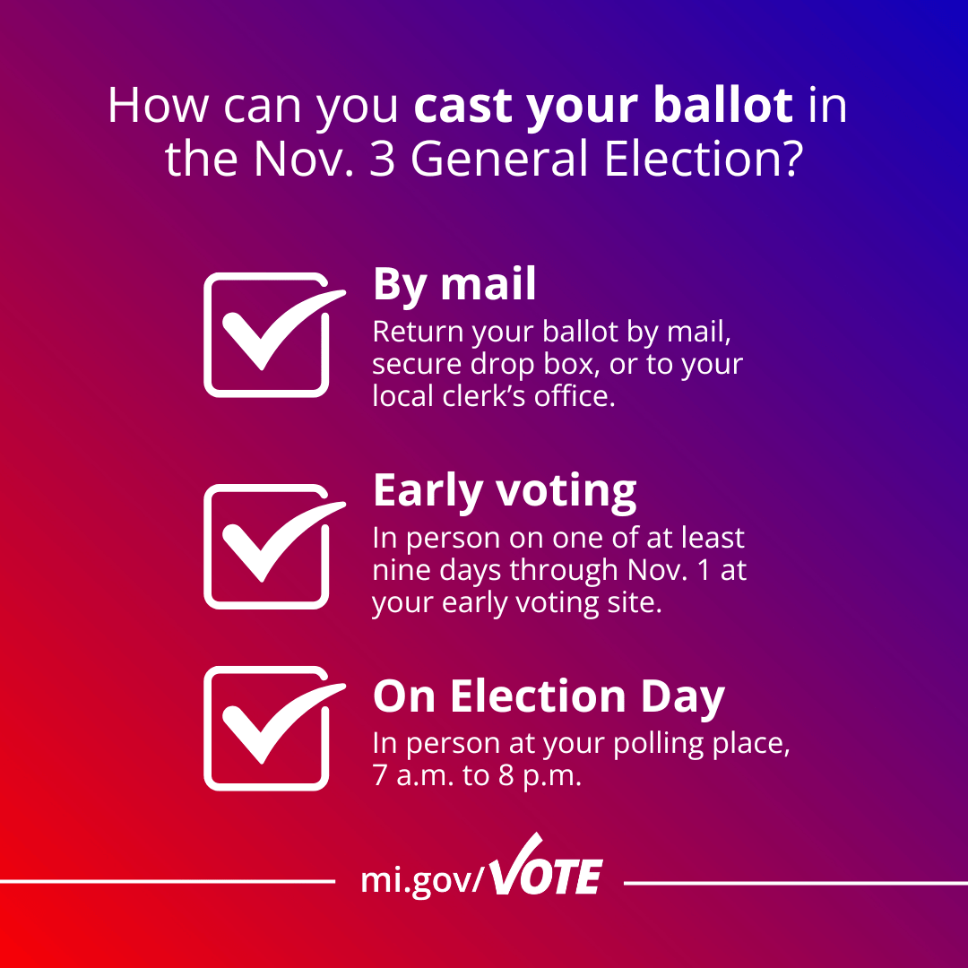 Options to vote - by mail early voting Election Day