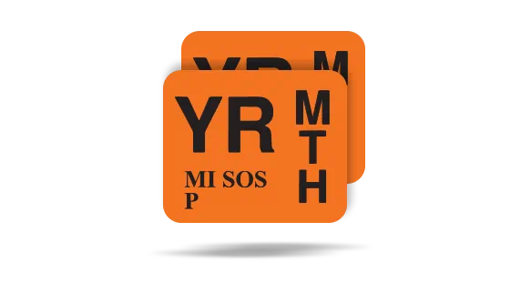 Two Michigan registration tabs
