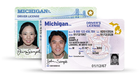 Michigan driver's license