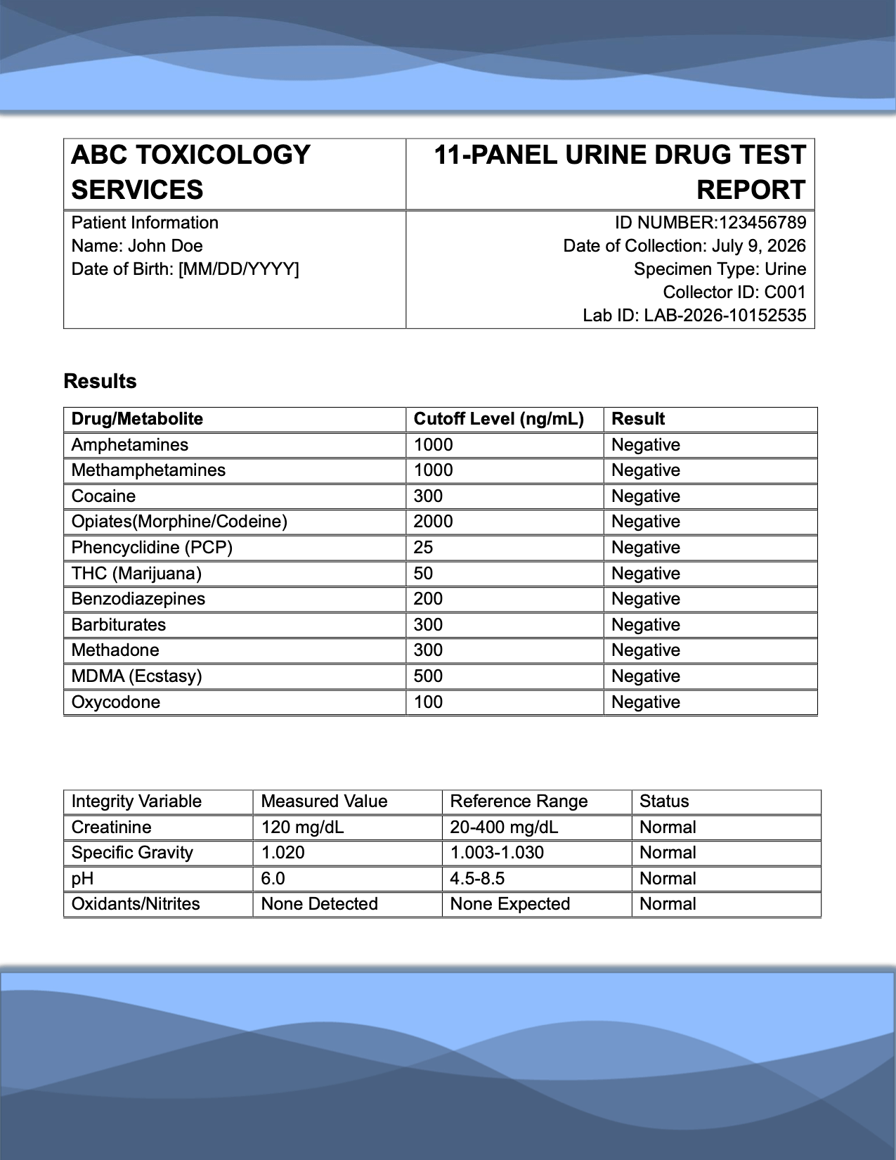 12-panel drug test example