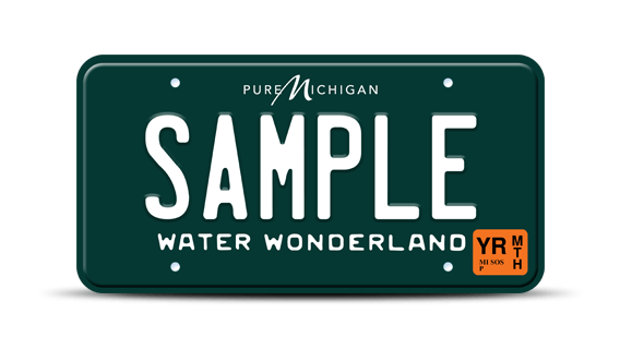 Water Wonderland license plate