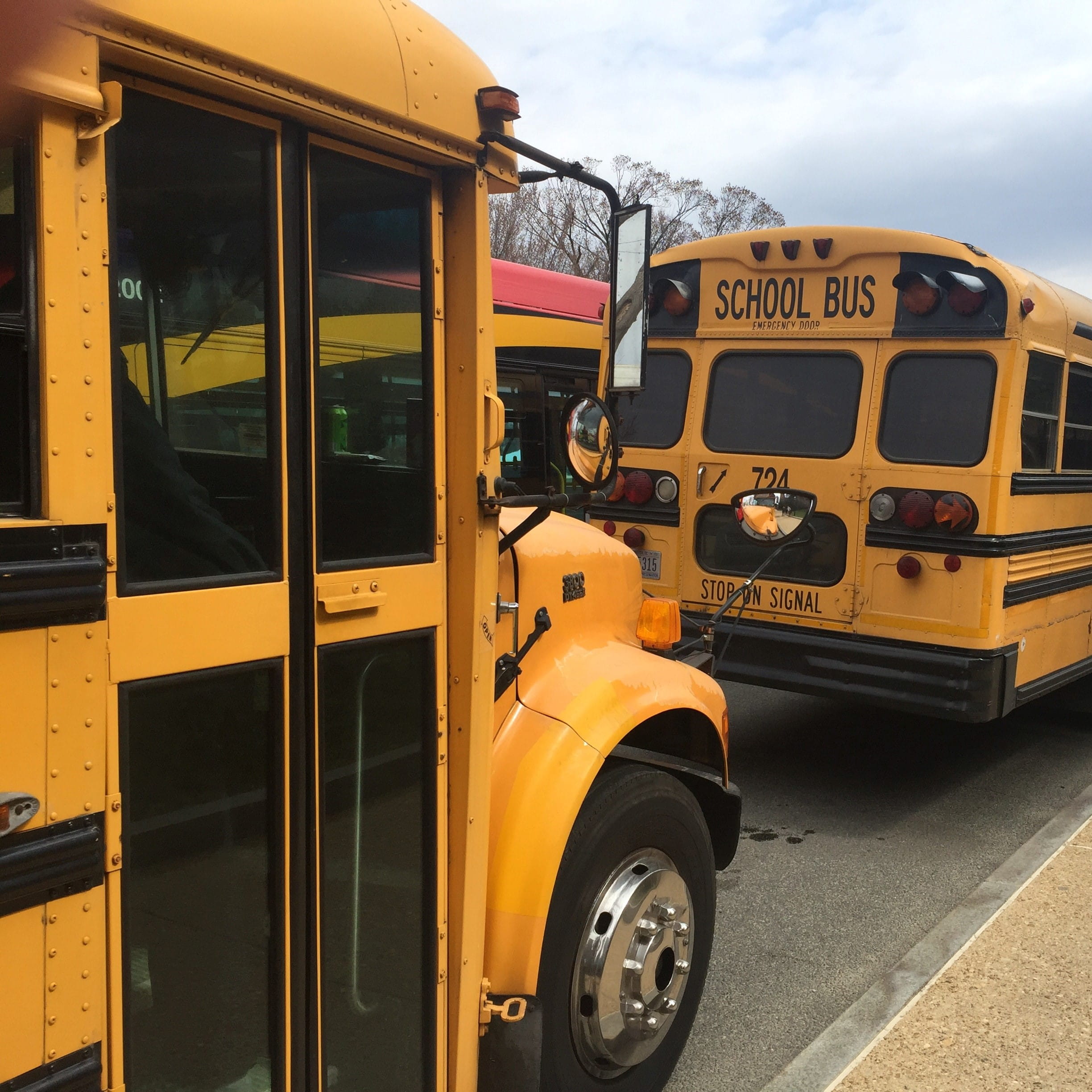 Two parked, yellow school buses.