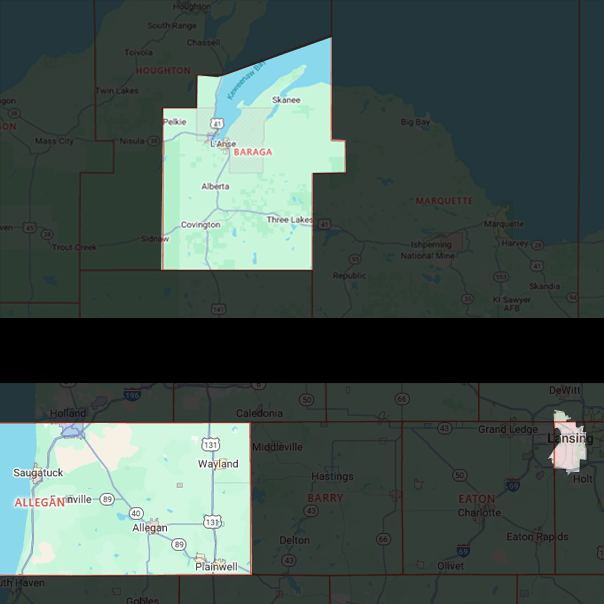Map of Michigan indicating Allegan county, Baraga county, and the City of Lansing.