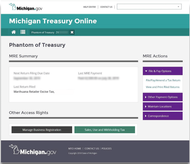 Michigan Treasury Online Additional Options