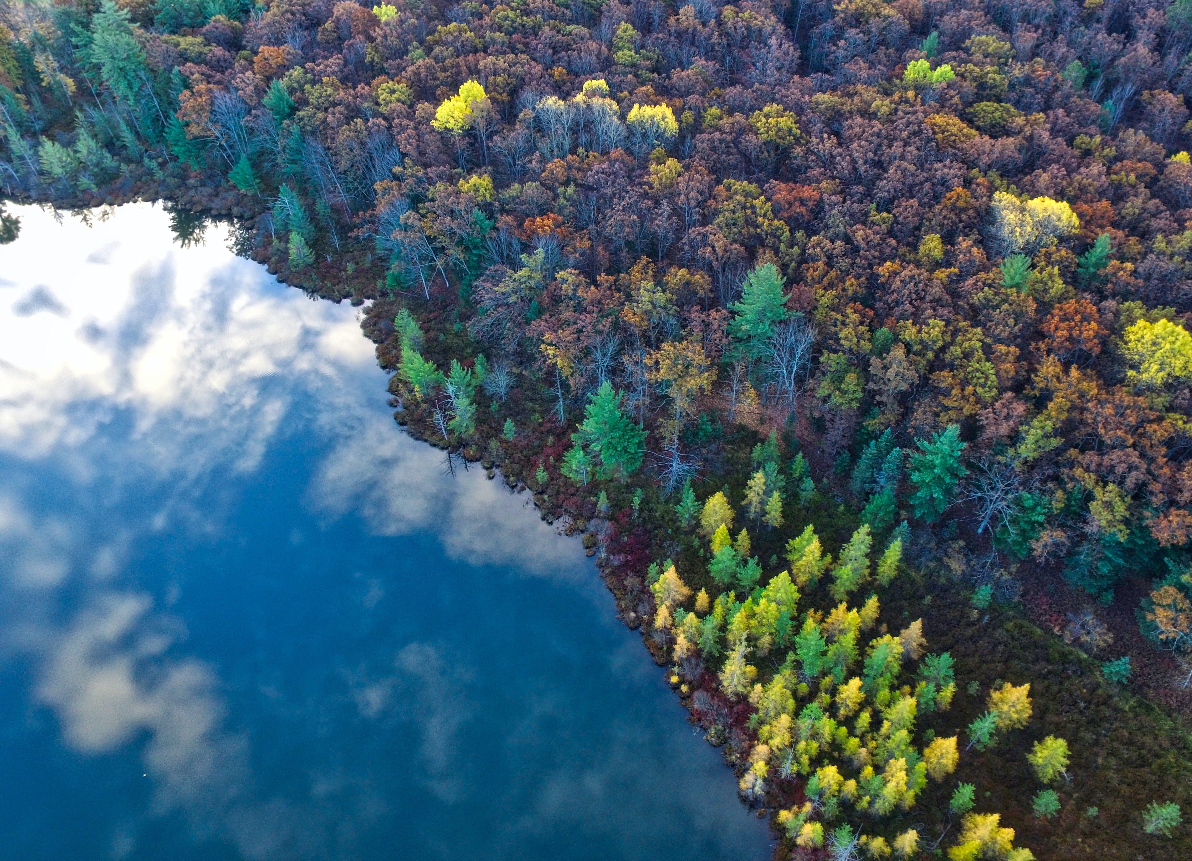 Bird's Eye View of Michigan Shoreline