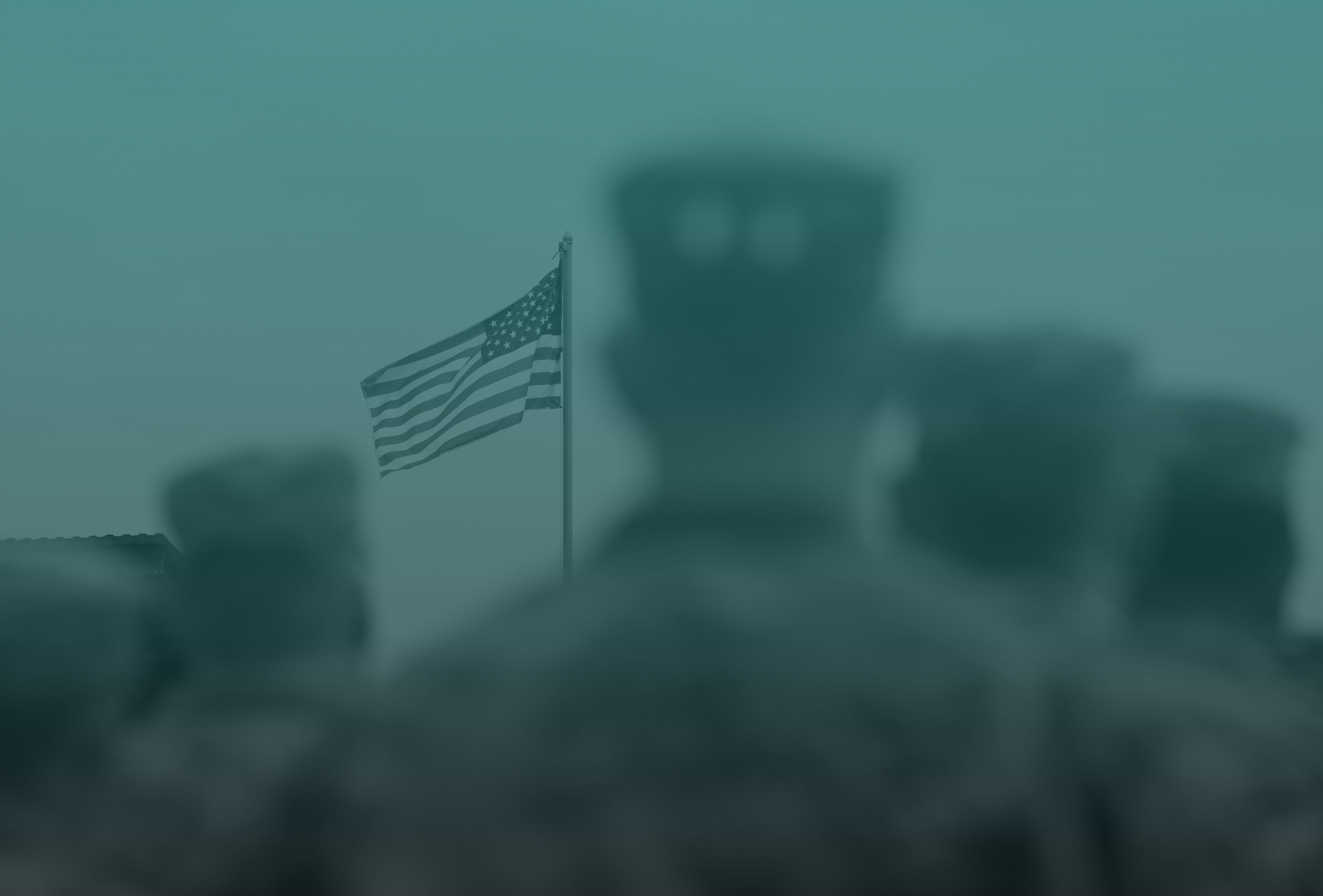 Veteran, American Flag